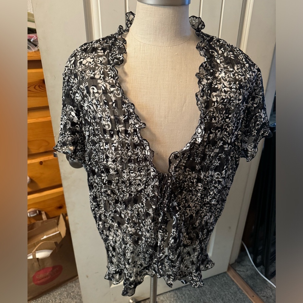 Notations Sheer Front Tie Blouse 3x